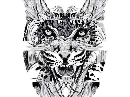 鹰王（个人主页-ZNTcxMzM5NzY=） - 新锐潮流插画 - 站酷设计师saint5原创素材 - 站酷ZCOOL