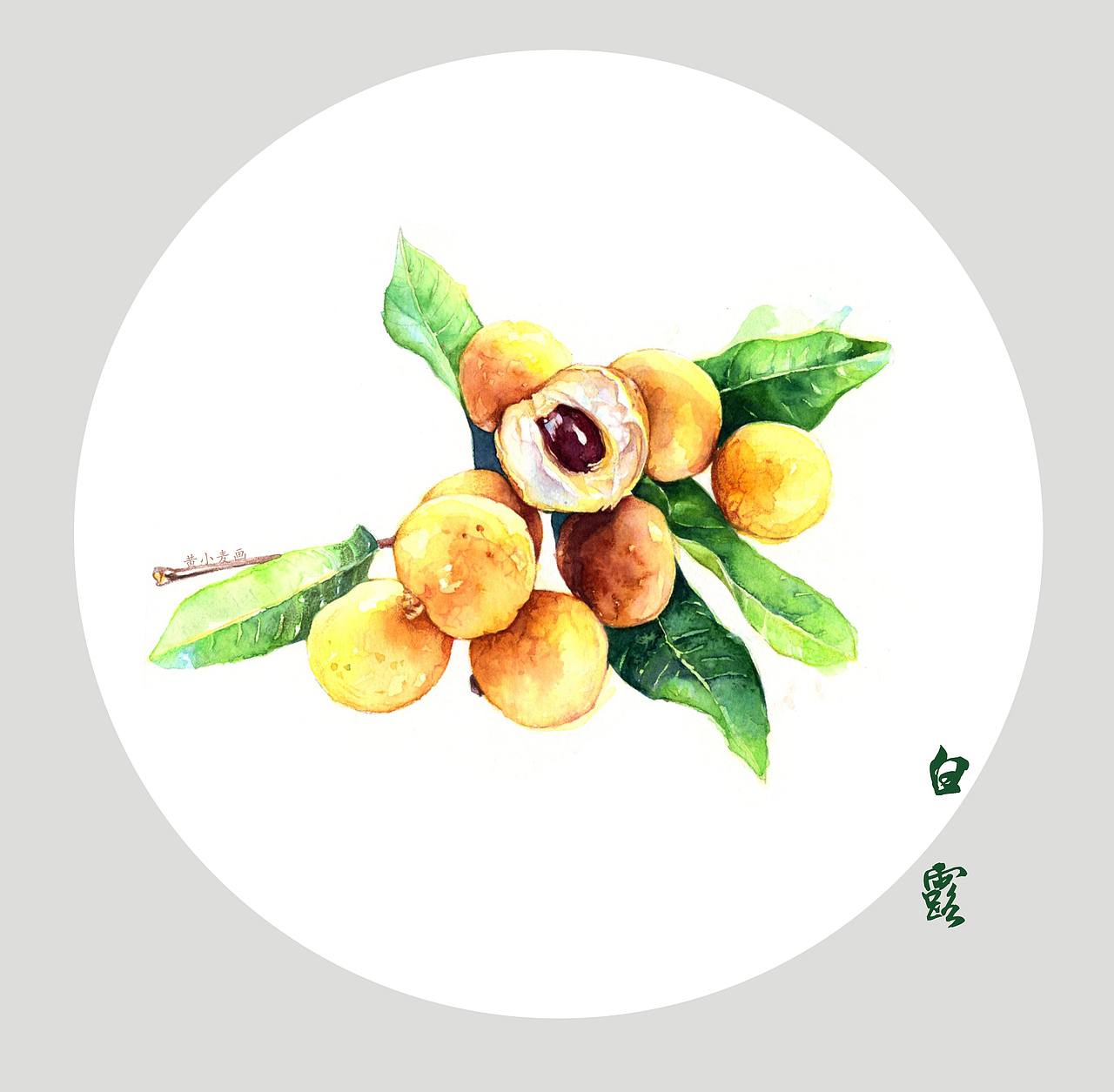 二十四节气---白露