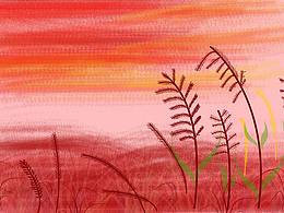 夜幕下的蘆葦蕩