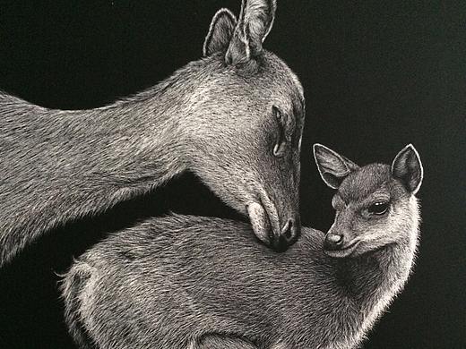 李子哥刮画作品《一鹿有你》