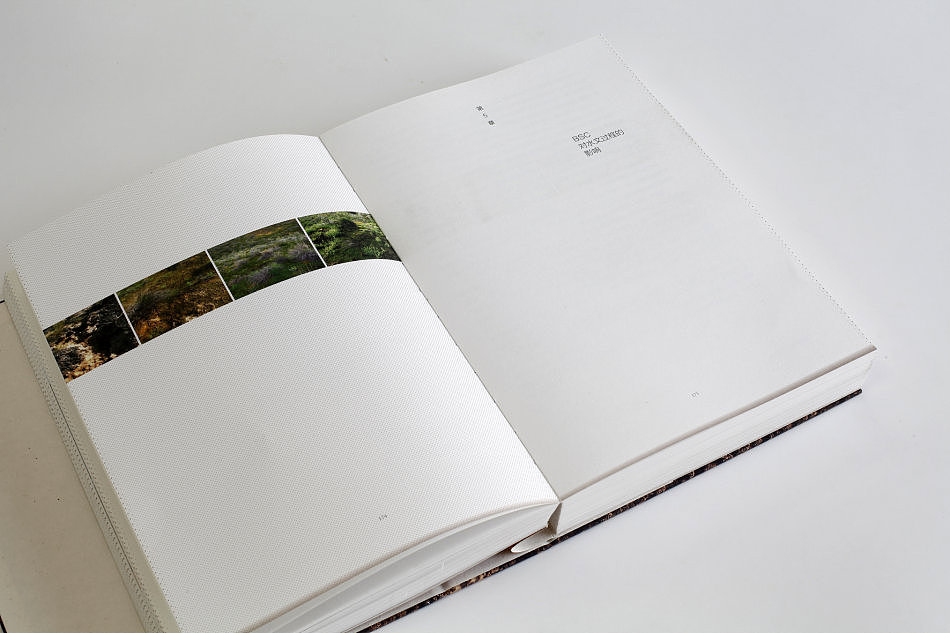 部分书籍设计作品(图ZNDA3NTY0OTI=) - 书籍/画册 - 站酷设计师刘晓翔工作室原创素材 - 站酷ZCOOL