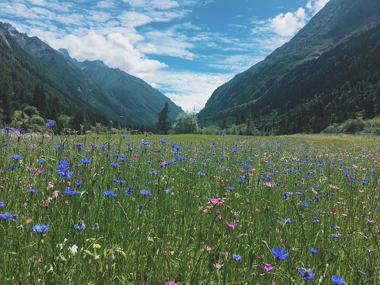 四姑娘山～圣洁（图ZMjE1Mzk0NDIw） - 风光摄影 - 站酷设计师飞行滴窝窝头原创素材 - 站酷ZCOOL
