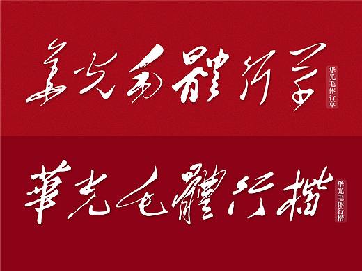 华光毛体发布