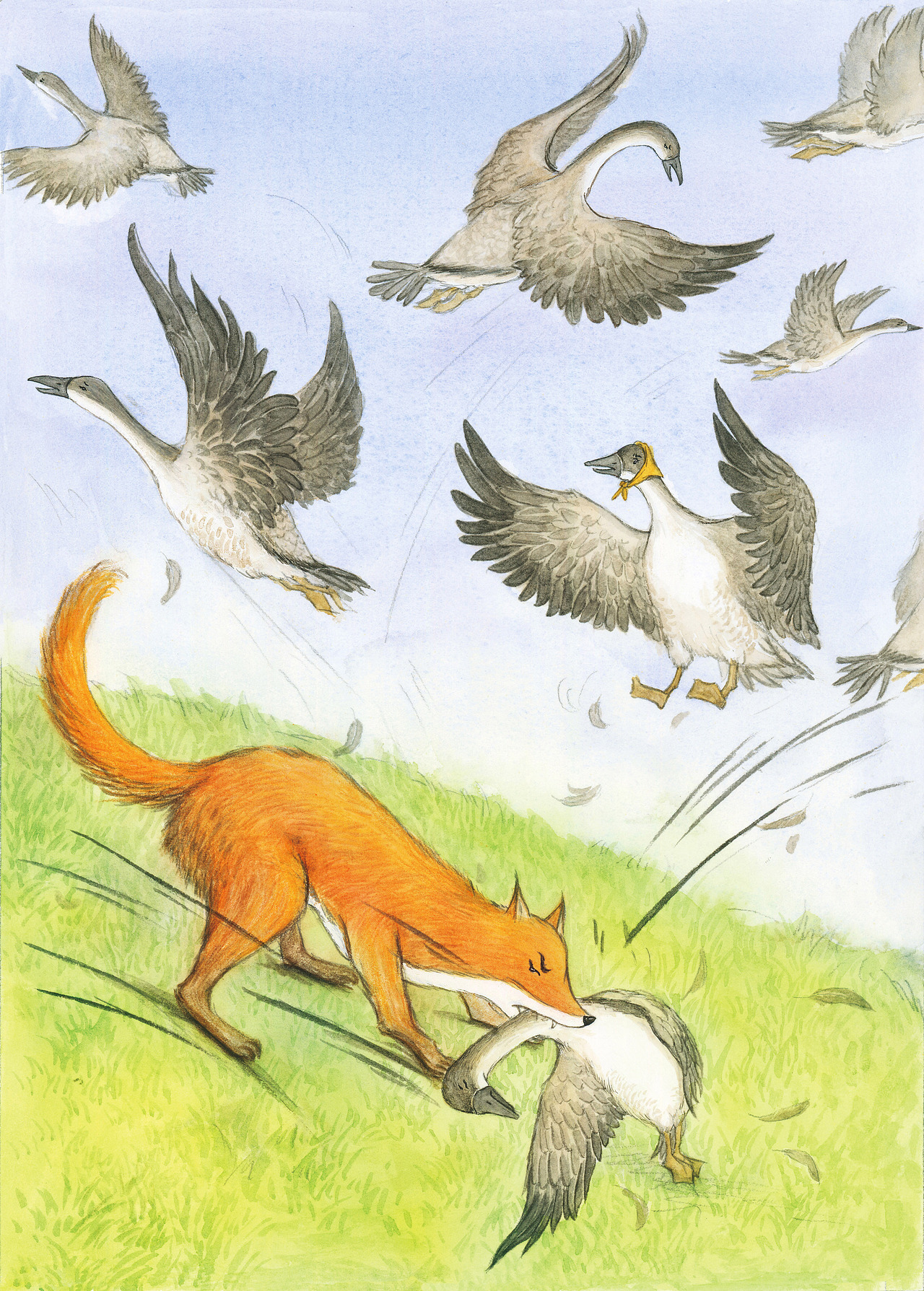 尼尔斯骑鹅旅行记