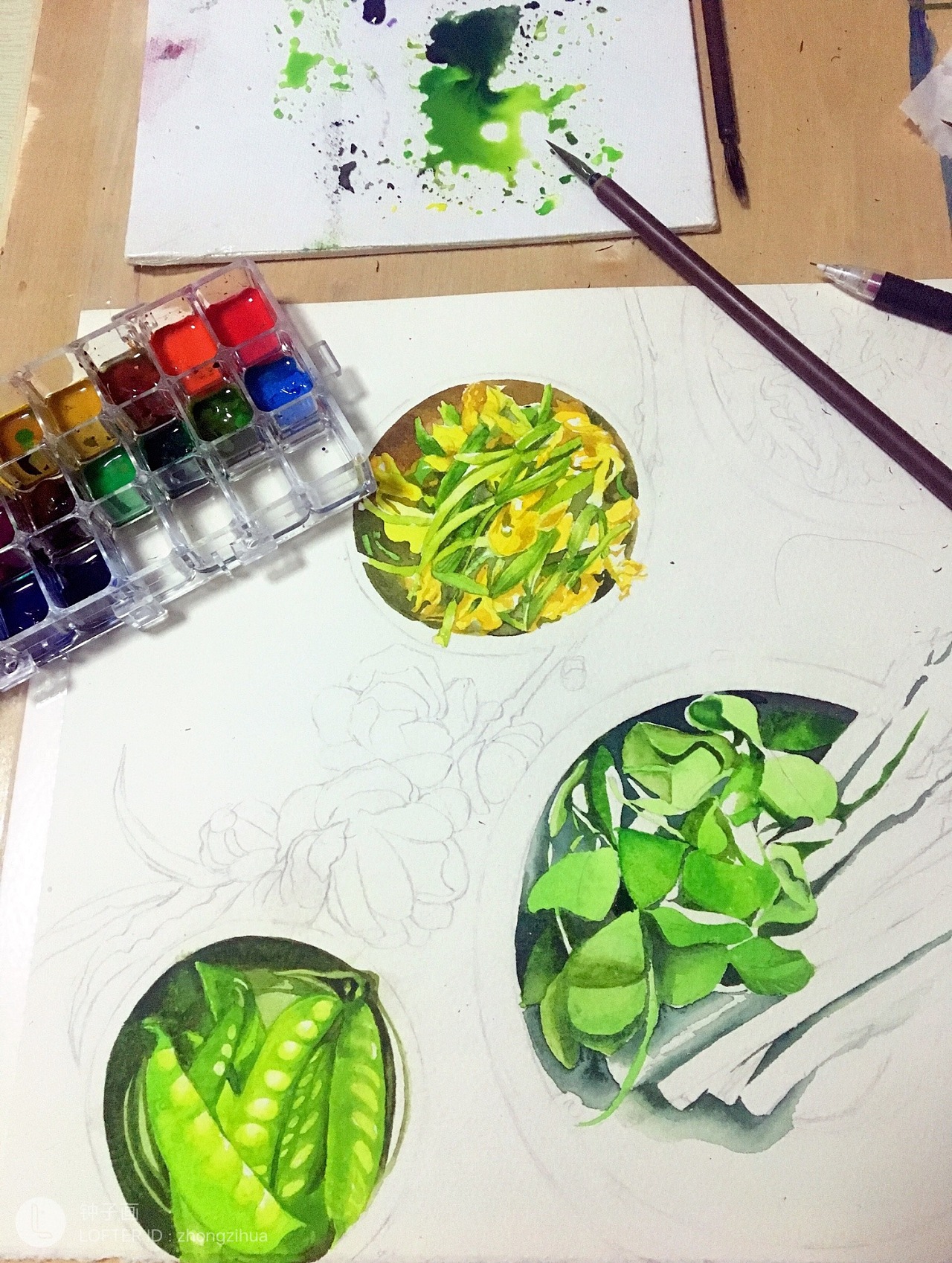 水彩 原创 三月春天 青菜 美食|纯艺术|绘画|钟子画水彩 - 原创作品