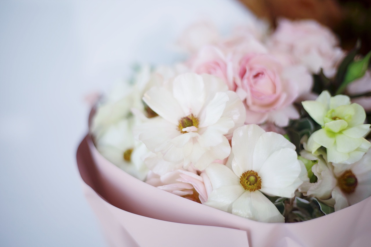 榆 | 从都市美学中审视