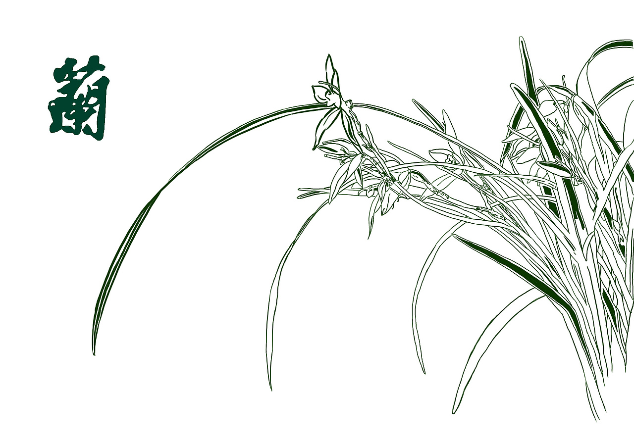 幽兰（图ZMjQyOTczOTI=） - 其他 - 站酷设计师雨文317原创素材 - 站酷ZCOOL