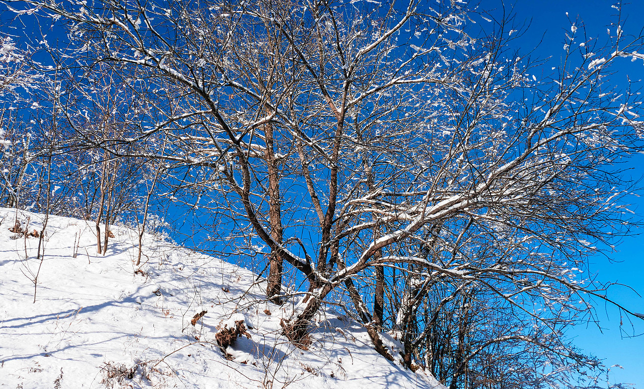 神秘的地方神农架,南方人第一次看雪~