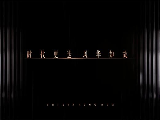 大平层提案