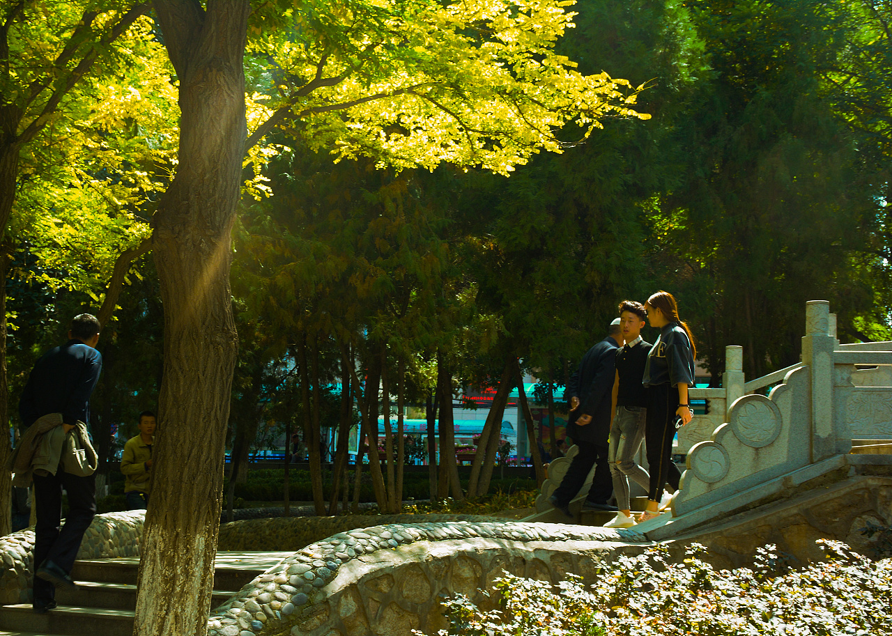 数字摄影作业第三,四,五周