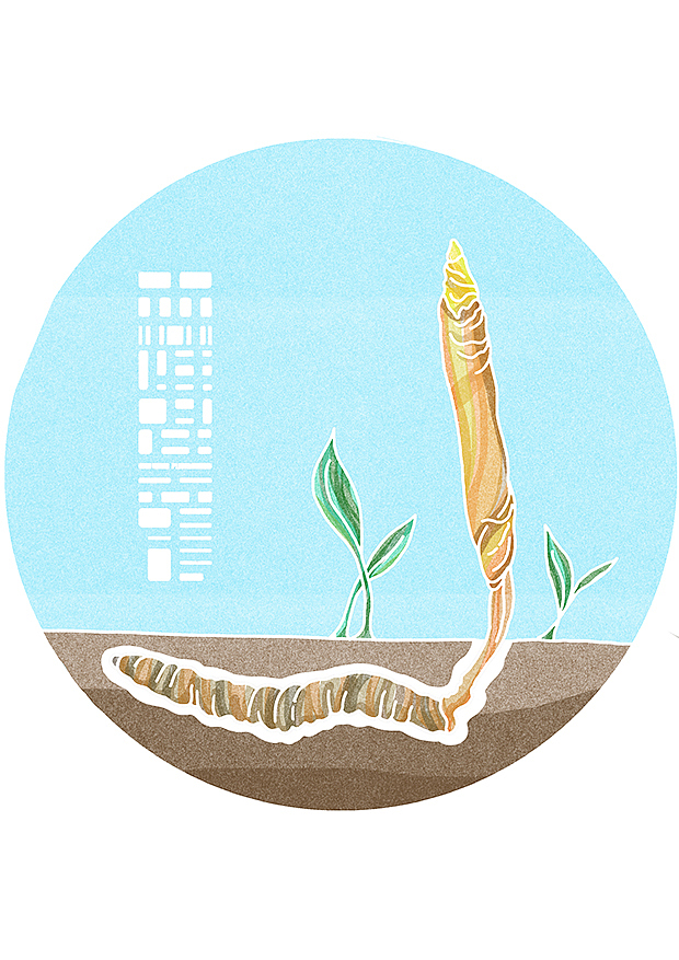 植物与我们的关系充满了秘密式的奇迹（图ZNzQ4OTAyMzI=） - 商业插画 - 站酷设计师森特笑虎原创素材 - 站酷ZCOOL