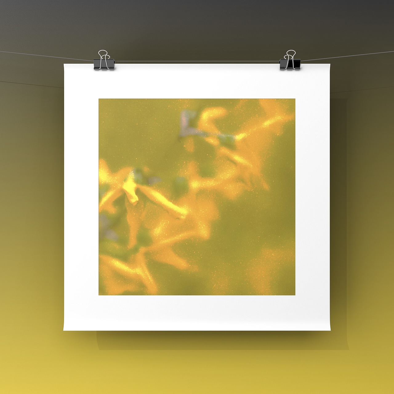 iphonegraphy|collecting seasons :springtime