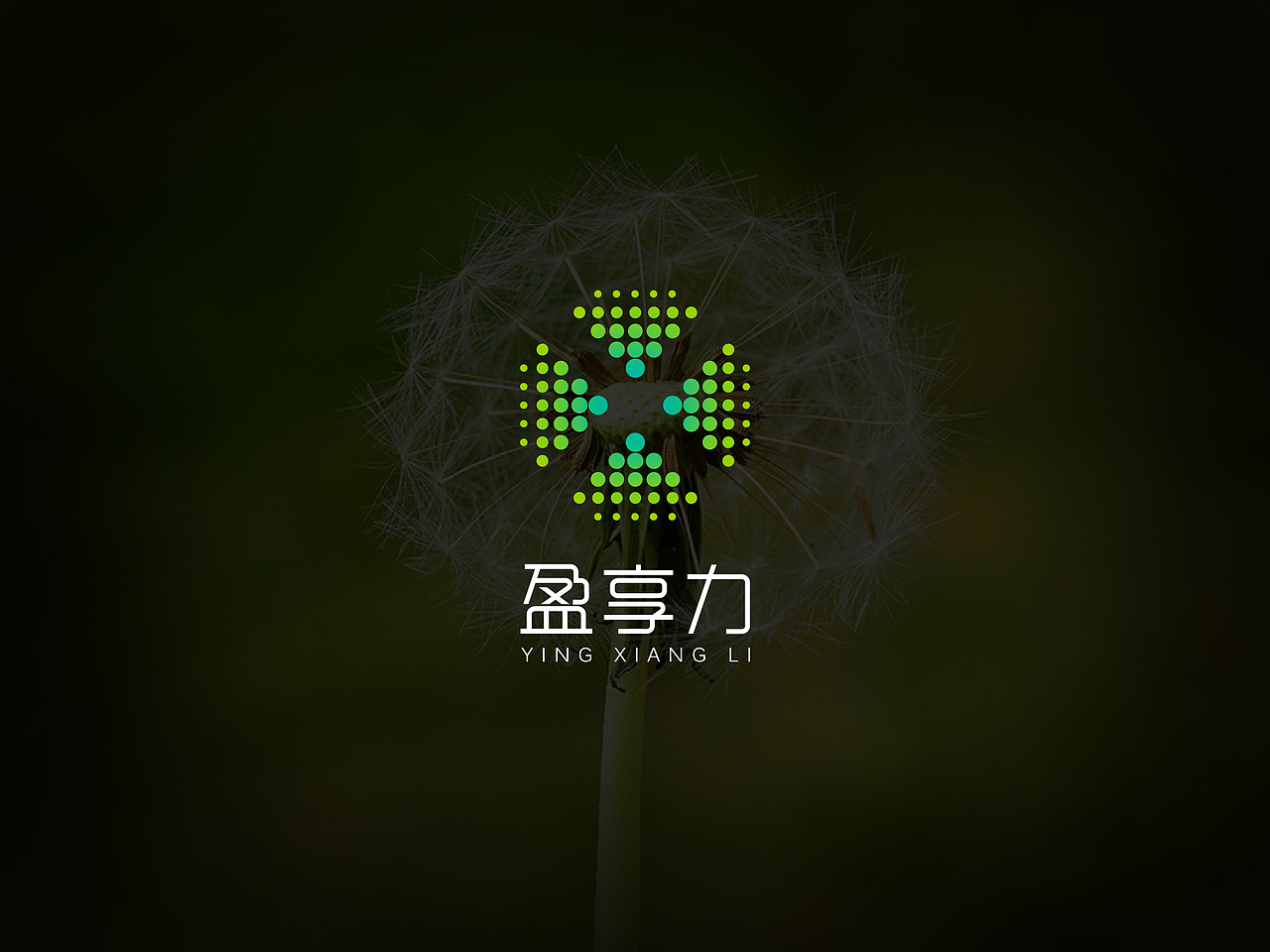 个人简历（图ZNTc1NDk4OTY=） - 其他平面 - 站酷设计师墨荜原创素材 - 站酷ZCOOL