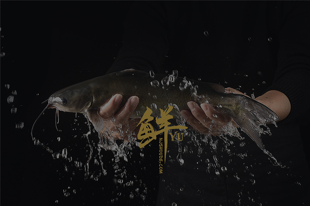 盒马生鲜拍摄（图ZMjQwMzE2Mzgw） - 美食摄影 - 站酷设计师南京首德商业摄影原创素材 - 站酷ZCOOL