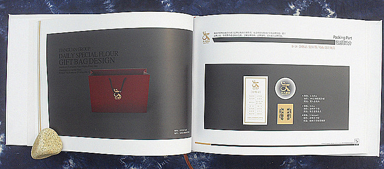 荣泽策划原创作品"天天面业VIS"