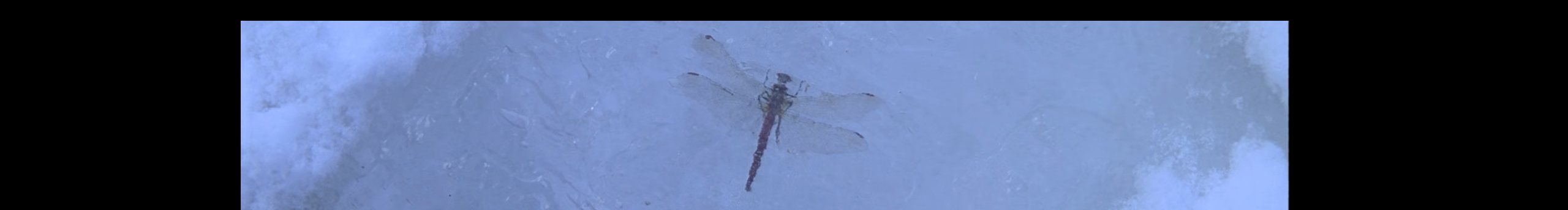 開(kāi)燈吧的個(gè)人主頁(yè)（封面預(yù)覽） - 主頁(yè)封面設(shè)置 - 站酷設(shè)計(jì)師開(kāi)燈吧原創(chuàng)素材 - 站酷ZCOOL