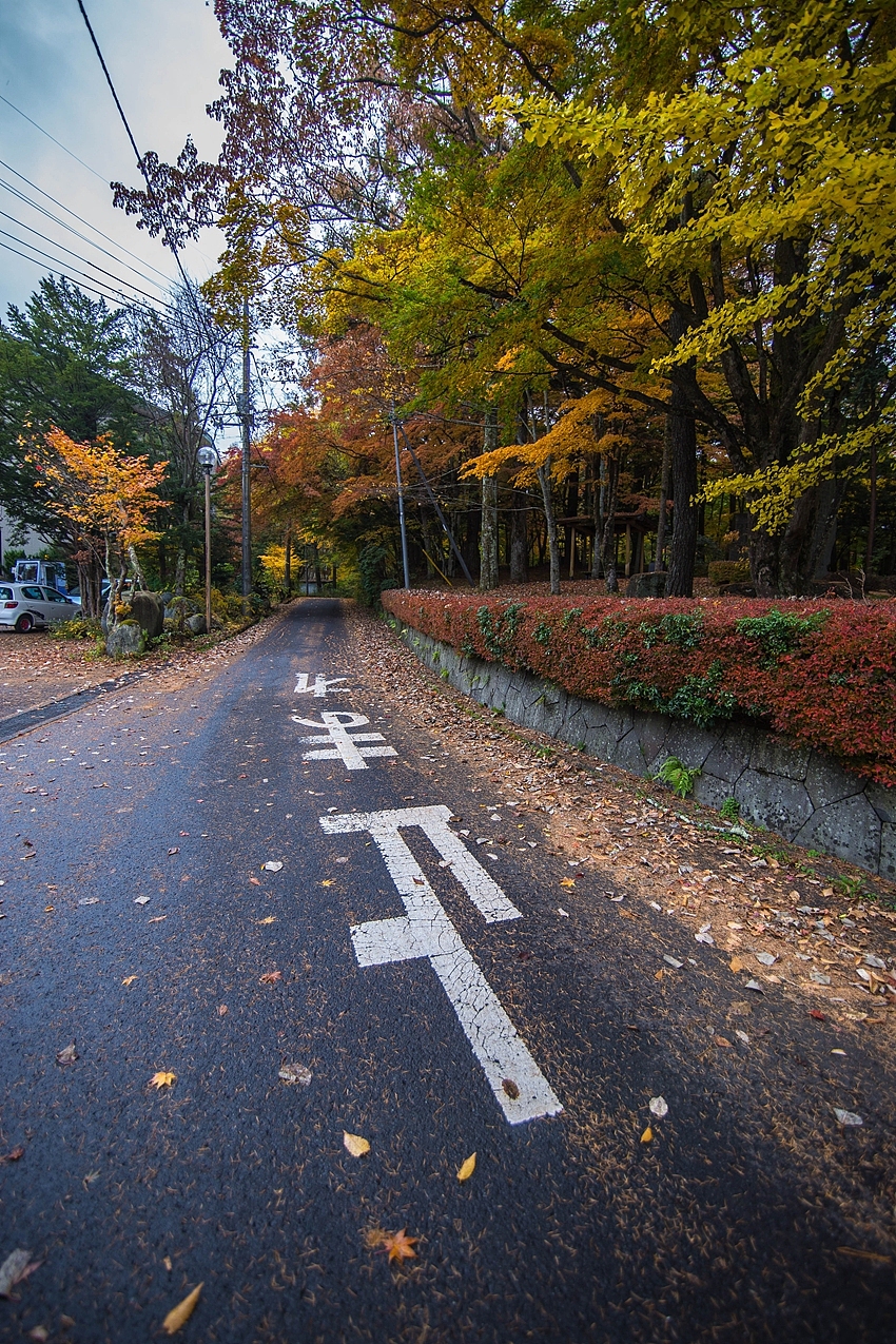 日本随拍（图ZMjEzMjk0OTY=） - 风光摄影 - 站酷设计师emptylu原创素材 - 站酷ZCOOL