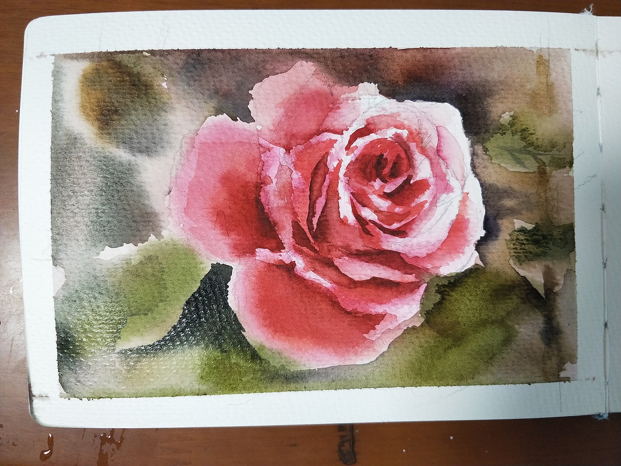 一组月季九宫格