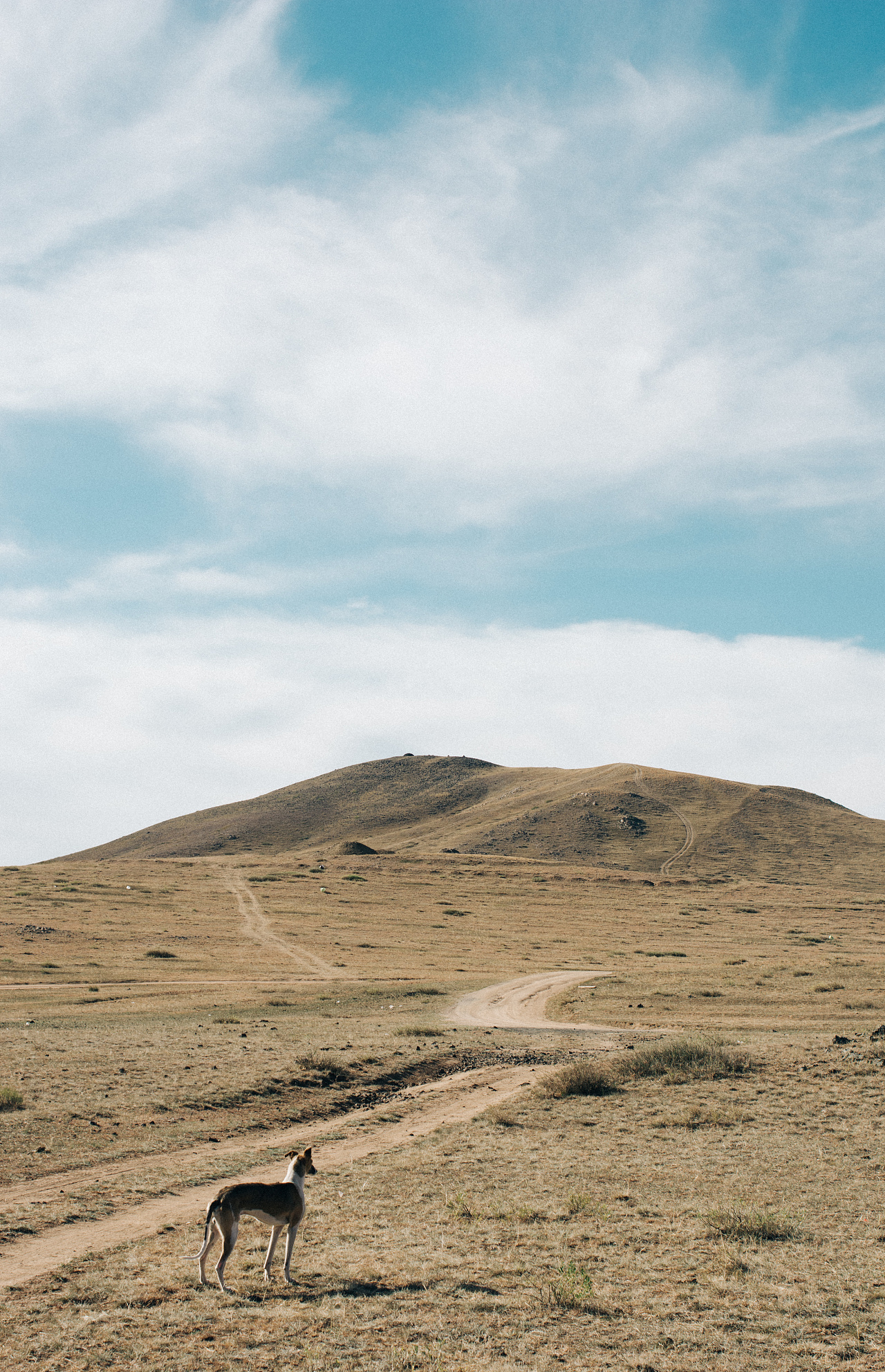 乌兰察布的空旷