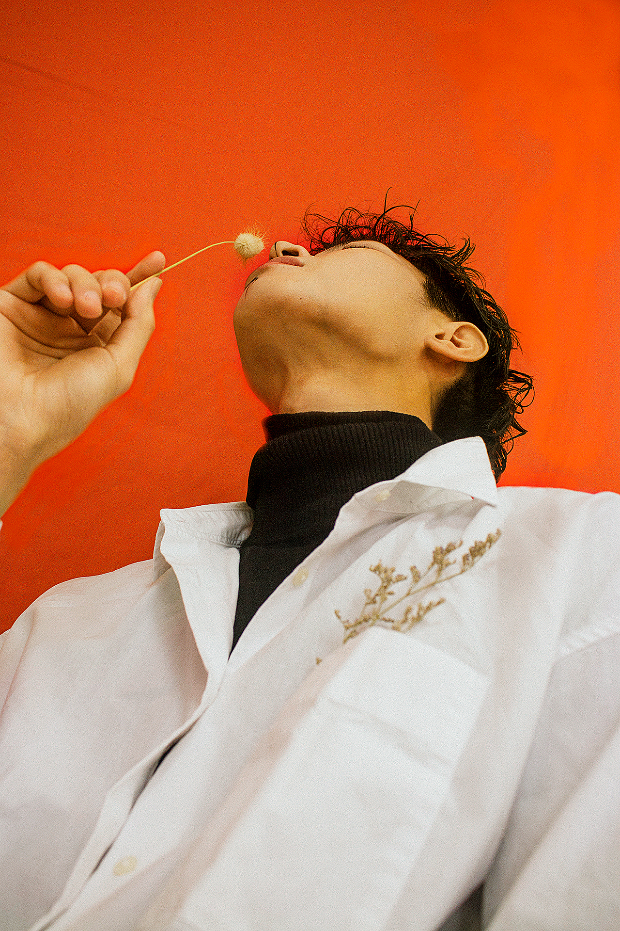 初学者（图ZMTczMTY3NDg0） - 人像摄影 - 站酷设计师LYSDA原创素材 - 站酷ZCOOL