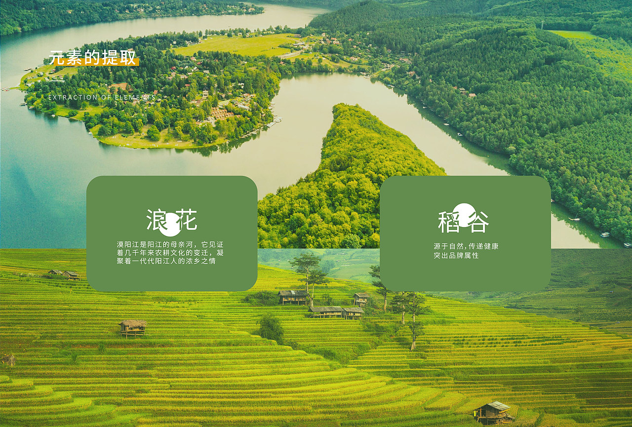 漠阳香大米品牌设计（图ZMjM5MzgxNTgw） - 品牌 - 站酷设计师xiao婉子原创素材 - 站酷ZCOOL