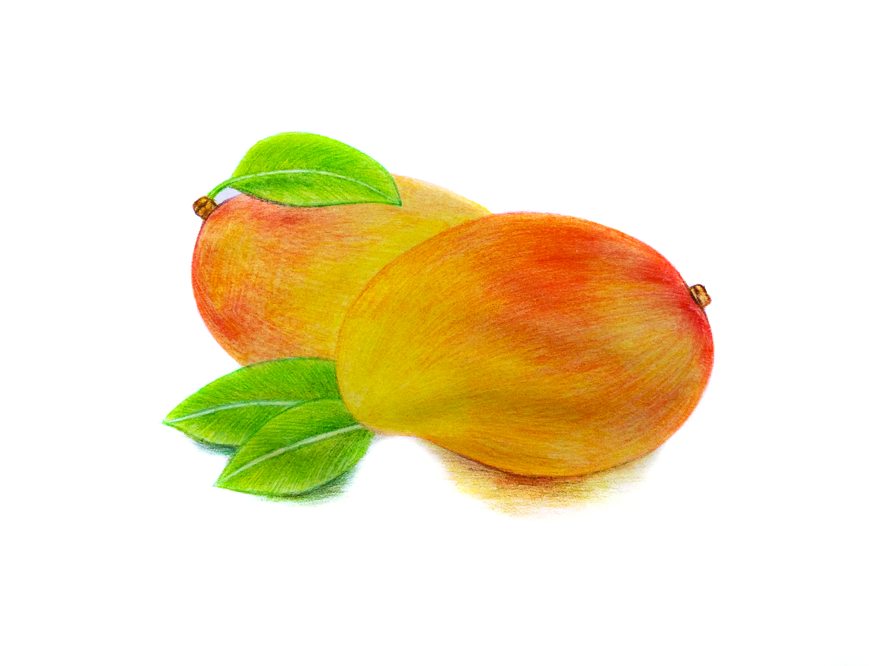 最爱的芒果（图ZMTAxMTE1NzQ0） - 绘画 - 站酷设计师宇宙无敌小二逼原创素材 - 站酷ZCOOL
