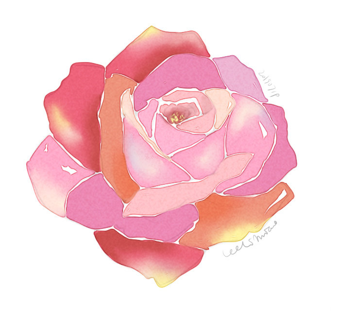 【板绘】sai练习 水彩效果 花