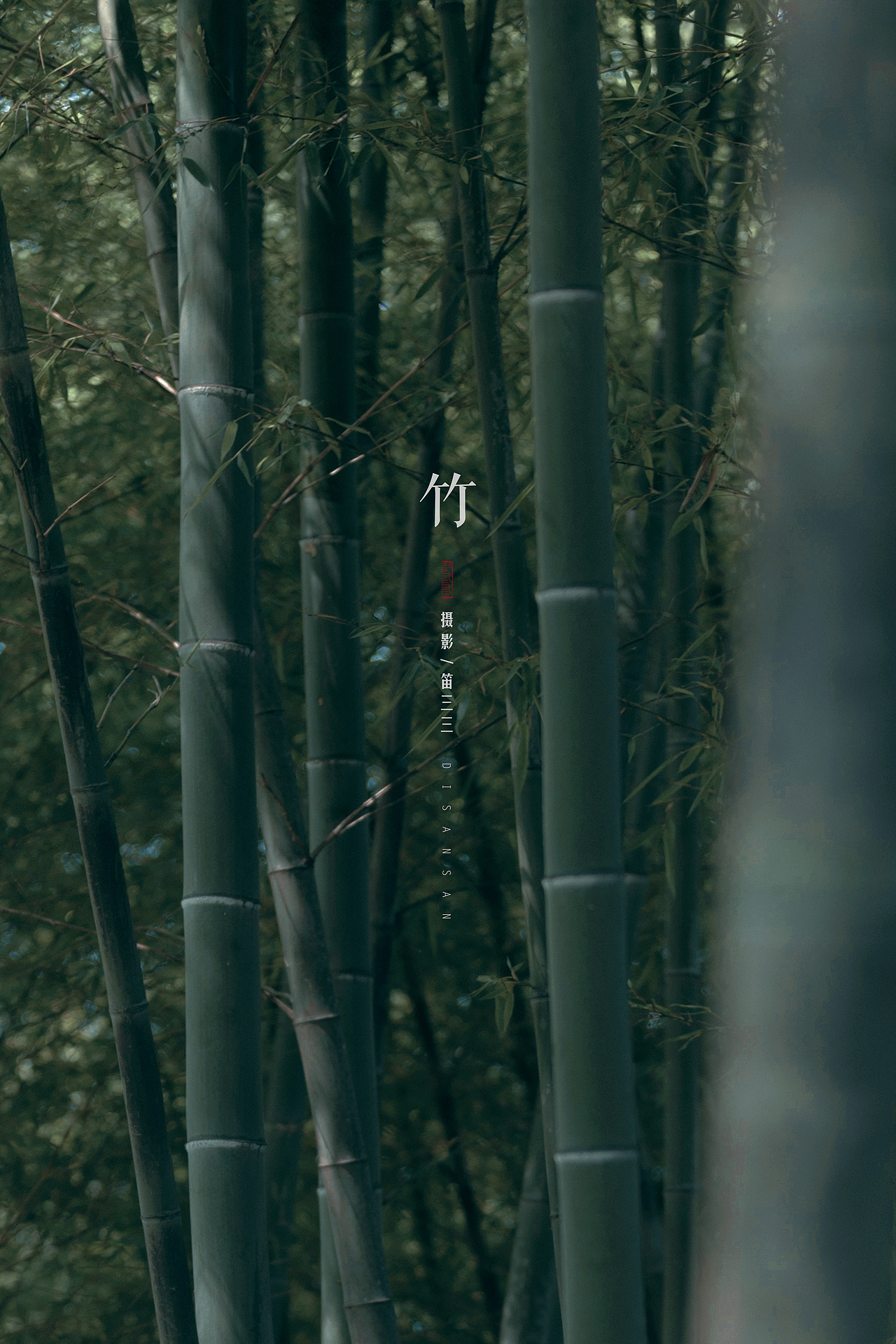 “竹”（图ZMjQ0NTgwOTUy） - 人像摄影 - 站酷设计师笛三三原创素材 - 站酷ZCOOL