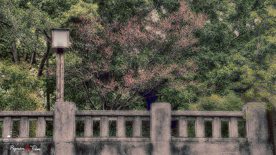 探寻北投诗与美（图ZNDYxNjA0ODA=） - 风光摄影 - 站酷设计师pigmantse原创素材 - 站酷ZCOOL