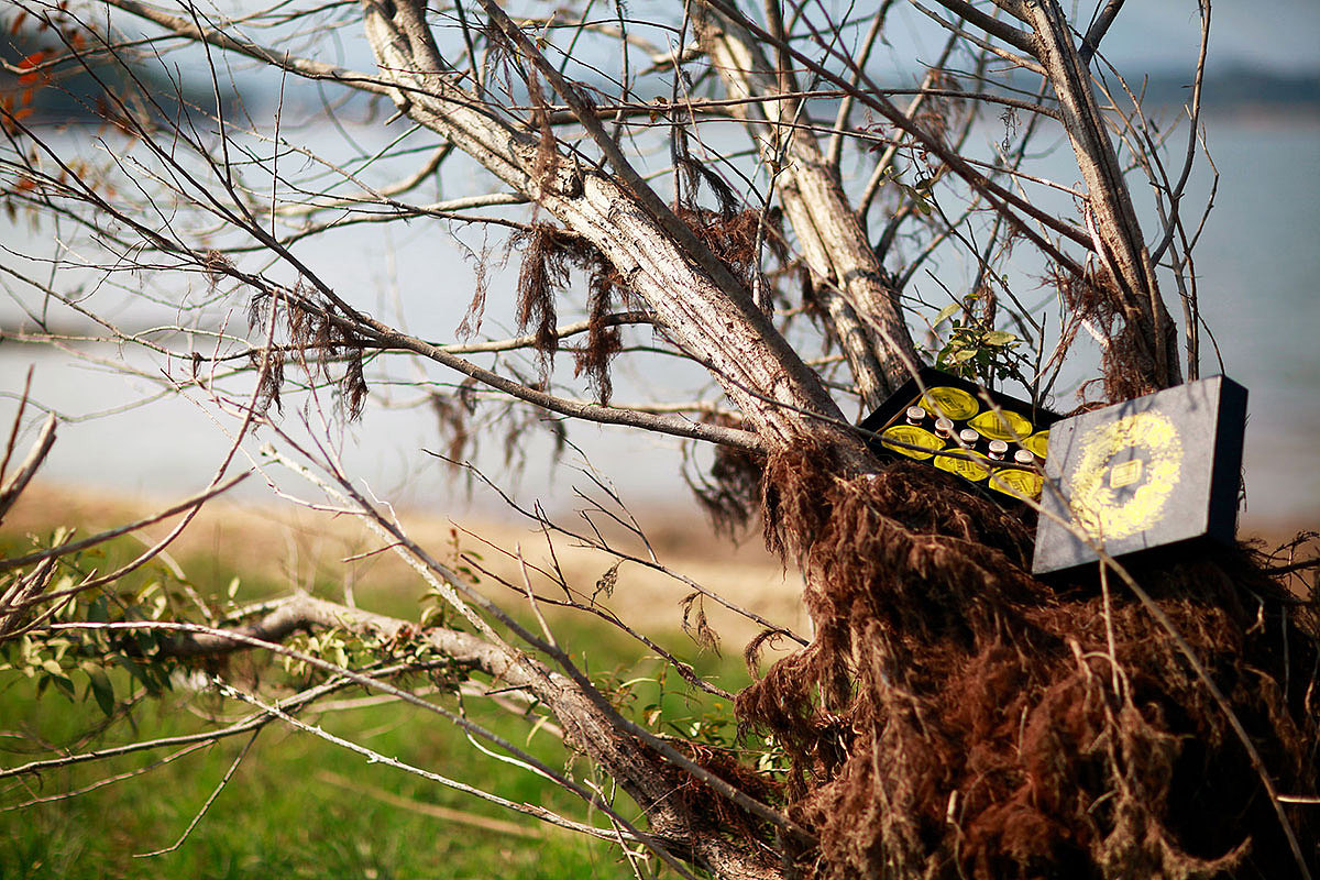 古草面膜包装设计