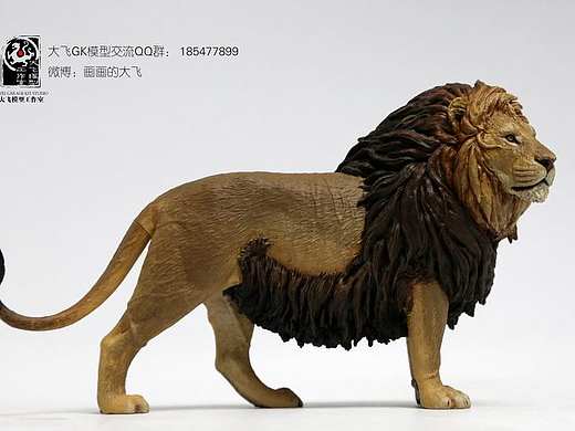 阳光明媚  狮王站在高处眺望国土