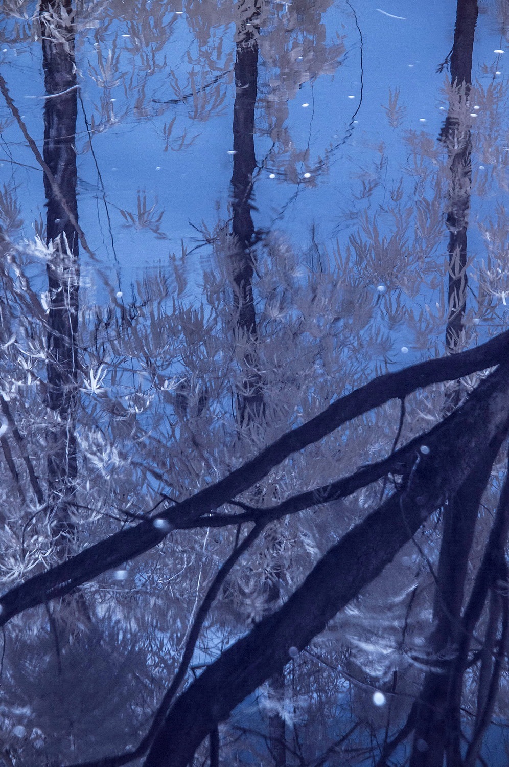 假如深圳下雪了