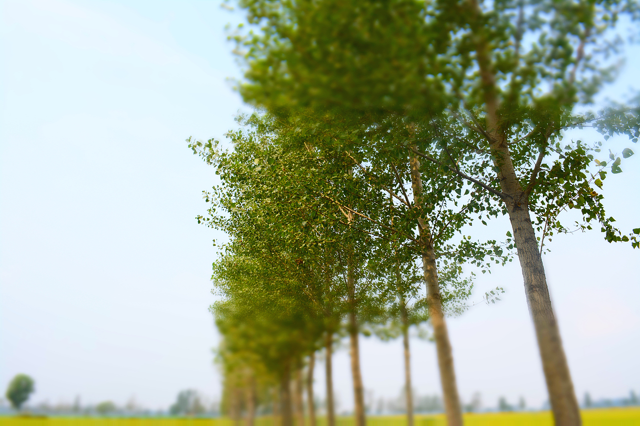 秋景（图ZMTE5NzYzOTY=） - 风光摄影 - 站酷设计师人难得_糊涂原创素材 - 站酷ZCOOL