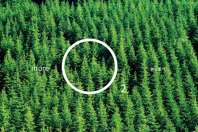 【Easetime】空气净化品牌标志设计提案（飞机稿）（图ZMzk5MDE2OTY=） - 品牌 - 站酷设计师徐羊飞原创素材 - 站酷ZCOOL