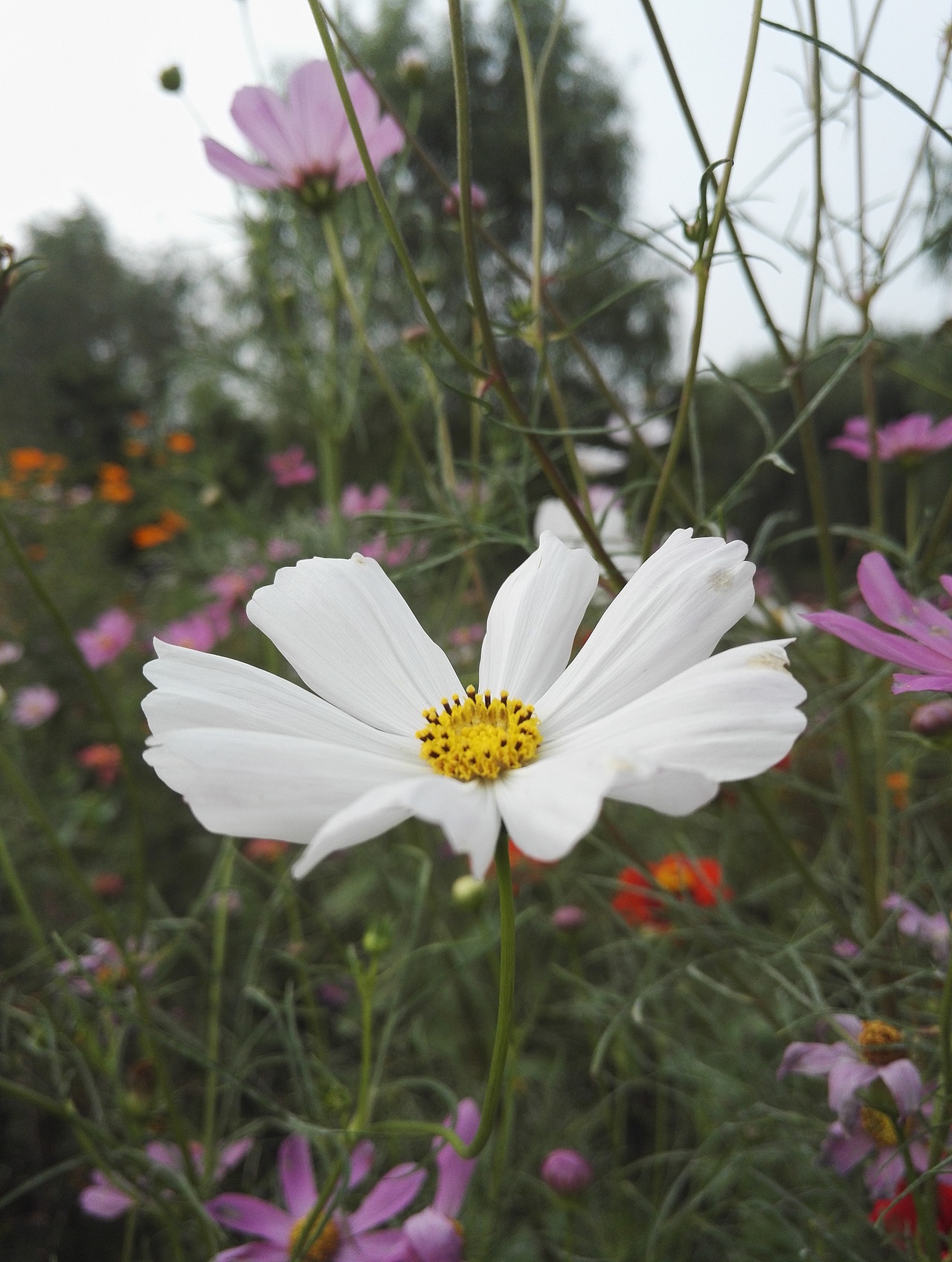 世界缺少发现美的眼睛！（图ZNjA3MzU5Njg=） - 产品摄影 - 站酷设计师昌子先生原创素材 - 站酷ZCOOL