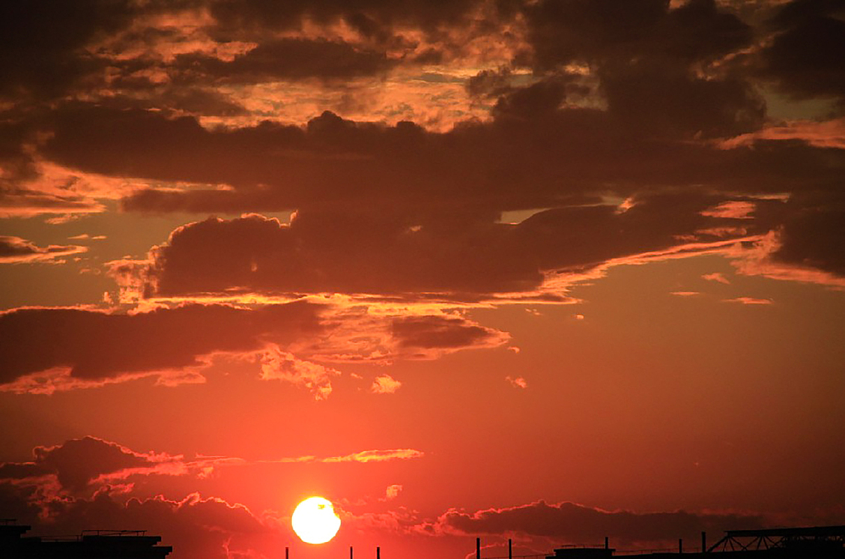 东小口森林公园的难得一见的红日,北京