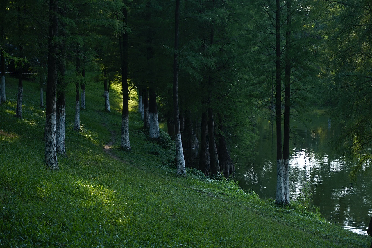 绿（图ZMjIwMDM4MDQw） - 风光摄影 - 站酷设计师木质箱子原创素材 - 站酷ZCOOL