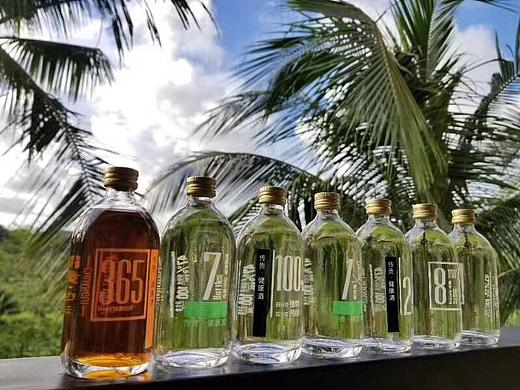 保健酒包装设计及产品发布会/附包装展开设计图