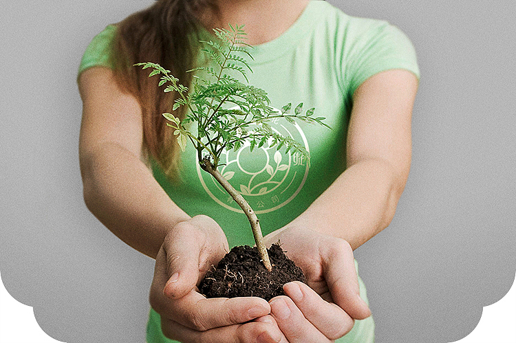 煦璇园林绿化品牌形象设计