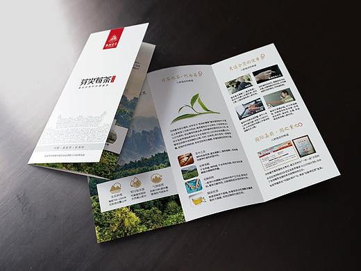 莓茶折页