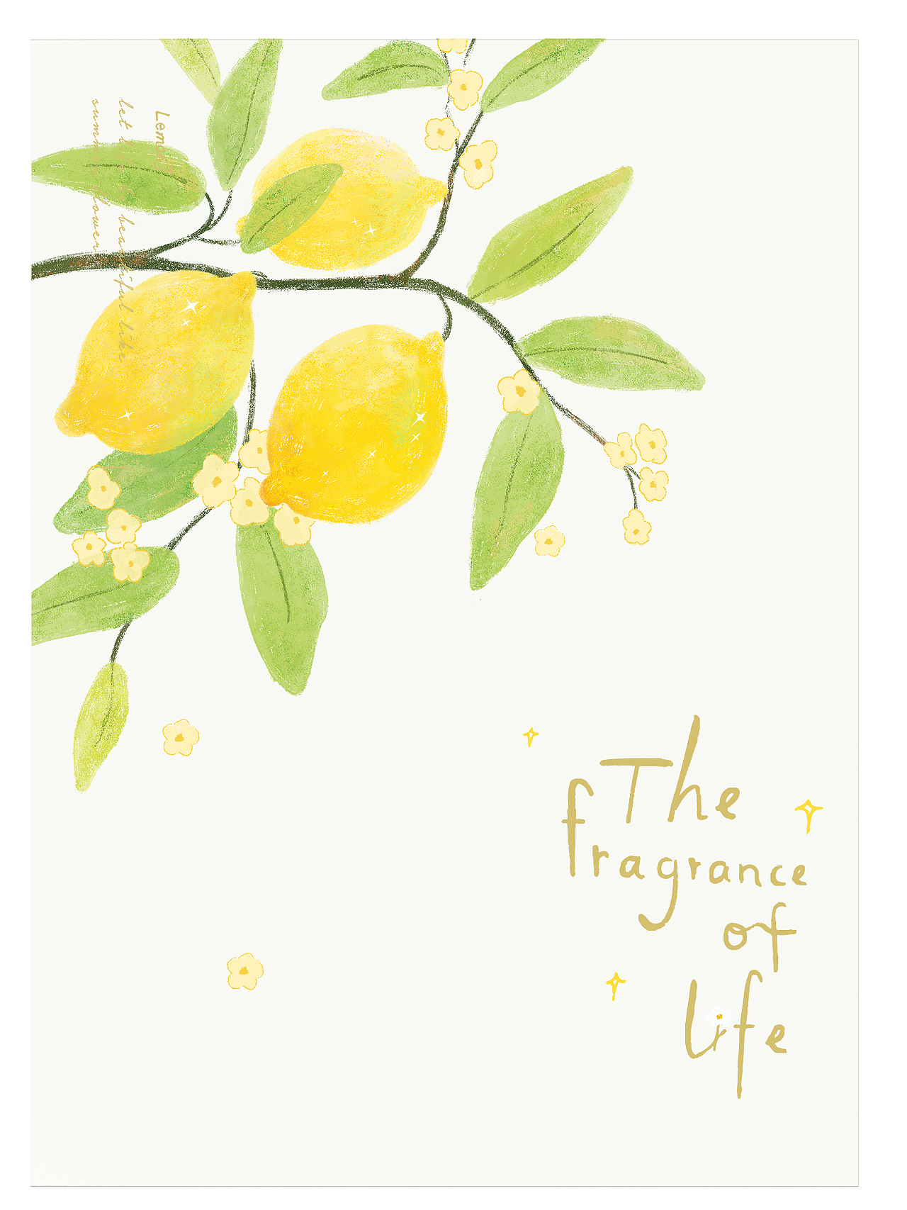 遇见芬芳香味手帐胶带礼盒-本册设计