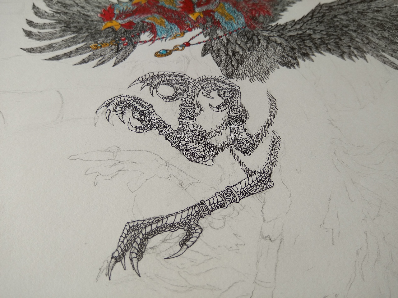 20191122山海经南山经尚鸟付鸟