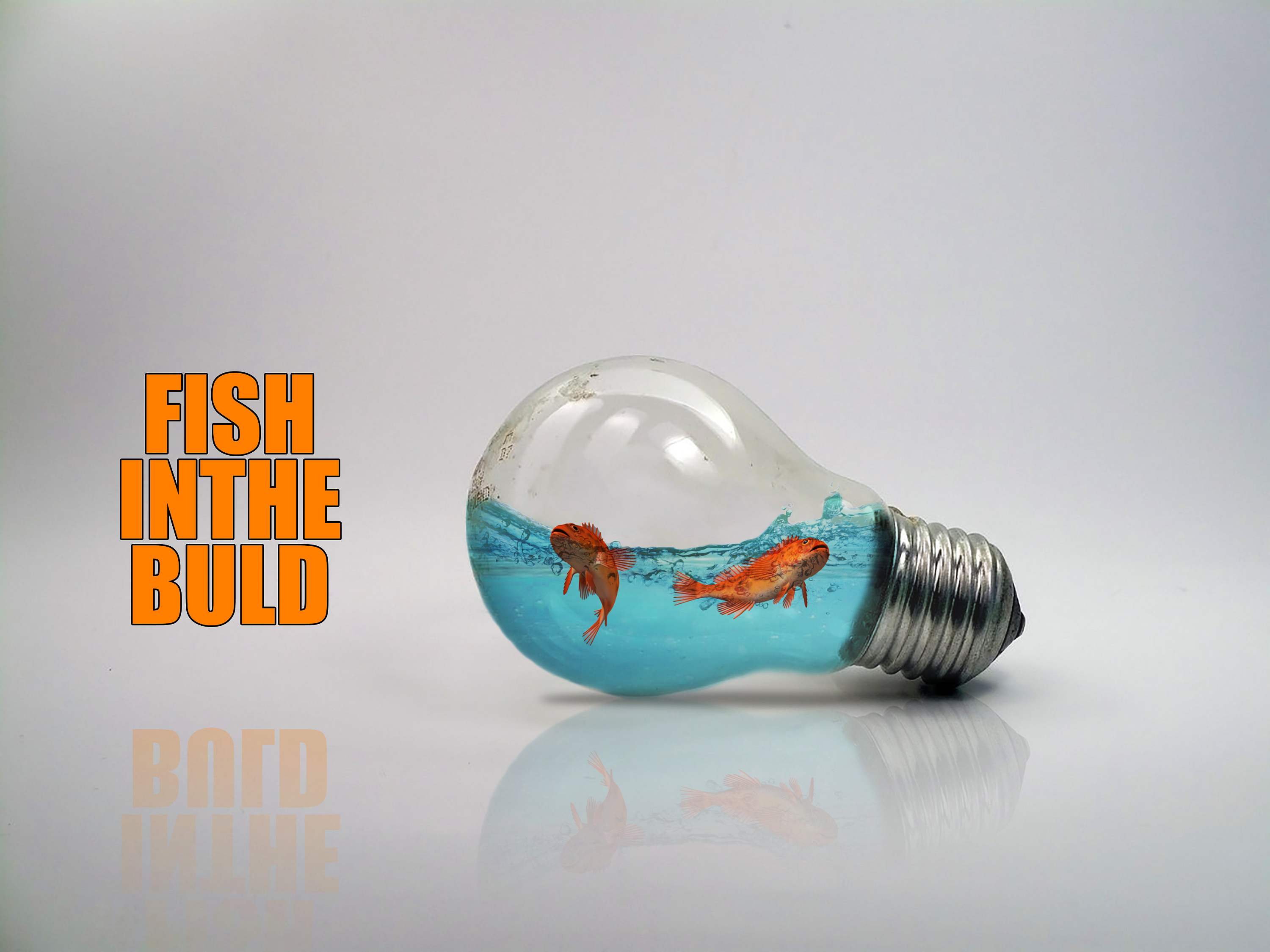 个人练习 合成 灯泡   鱼