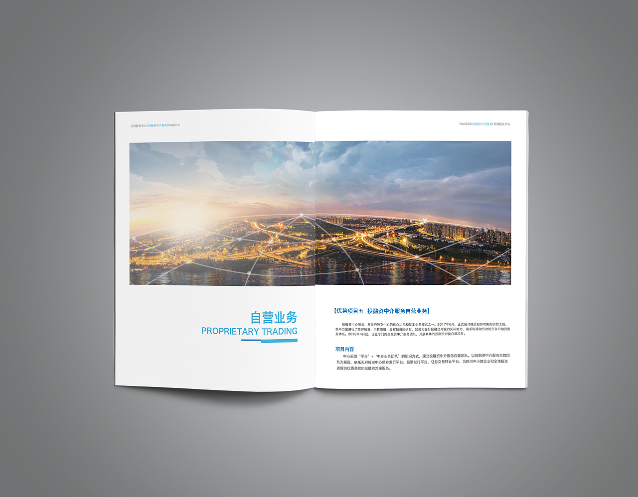 天府股交中心画册设计