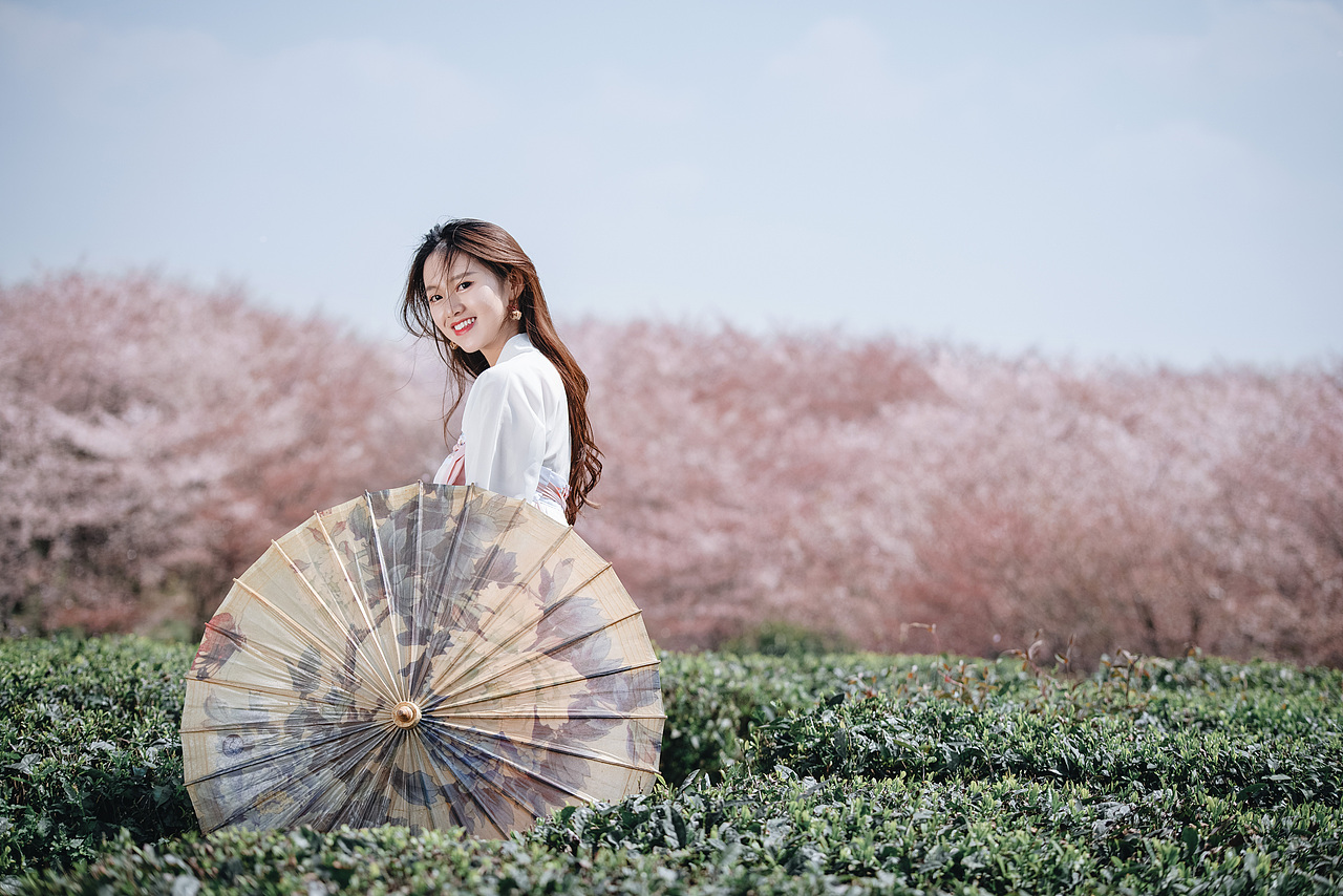 "樱"为有你,樱花人像拍摄案例