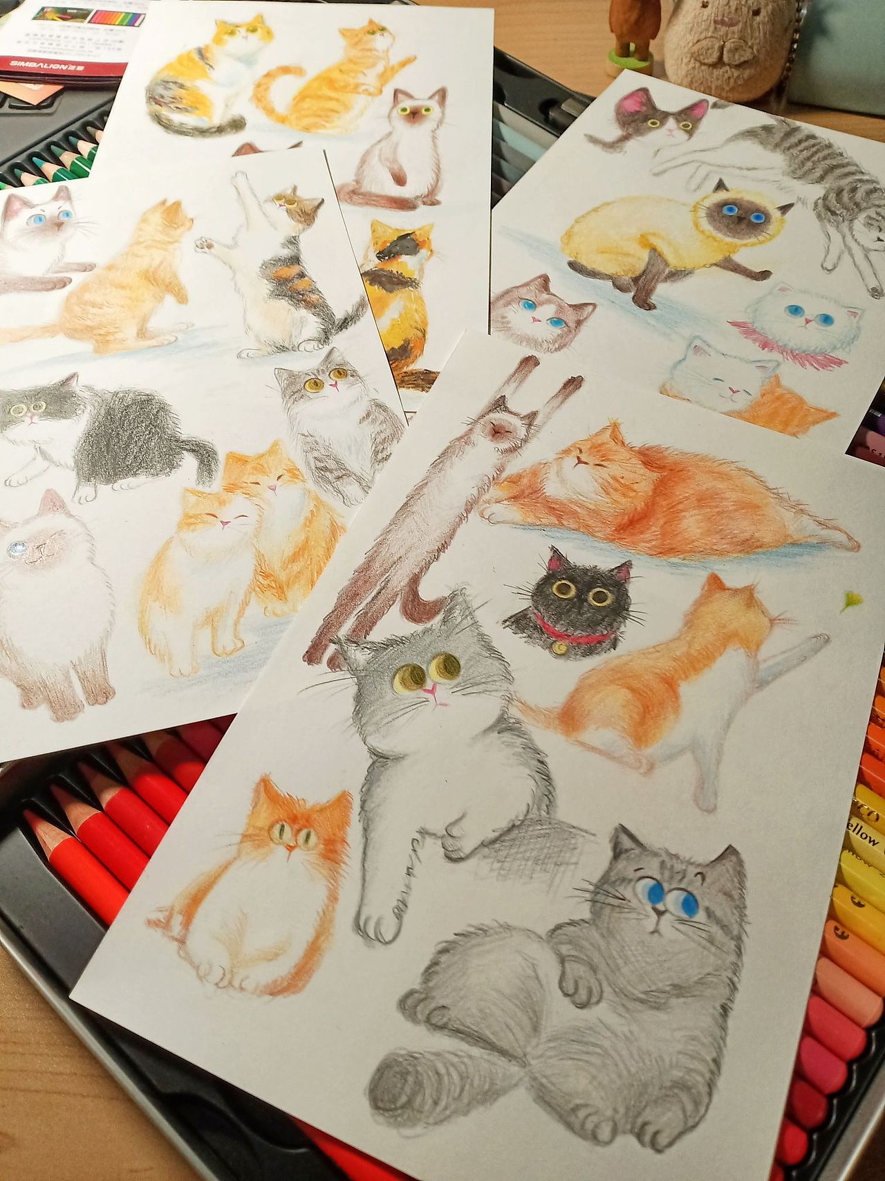 彩铅猫咪