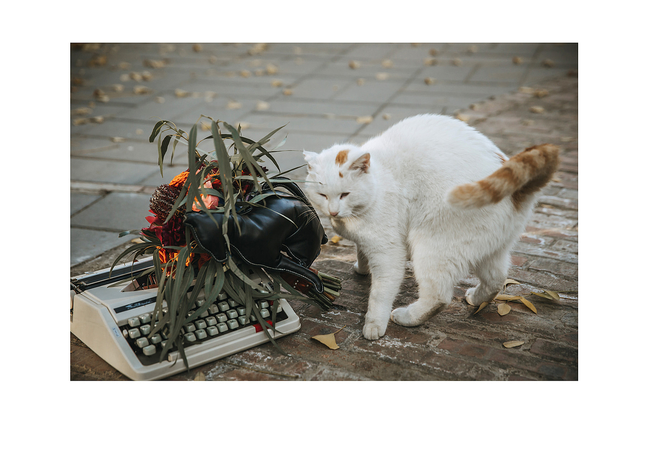 走心的仪式感，一场真正属于自己的婚礼|果园婚礼（图ZMTQ1NDc5OTI0） - 人像摄影 - 站酷设计师瑞时摄影工作室原创素材 - 站酷ZCOOL