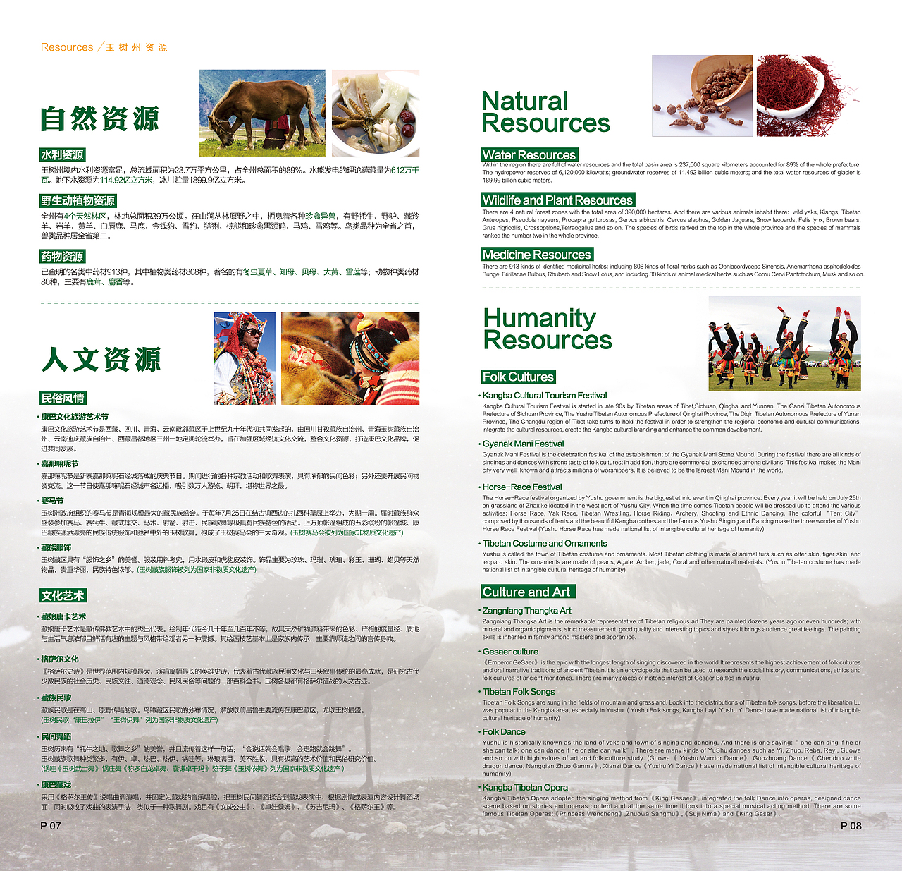 玉树藏族自治州尼泊尔招商手册设计
