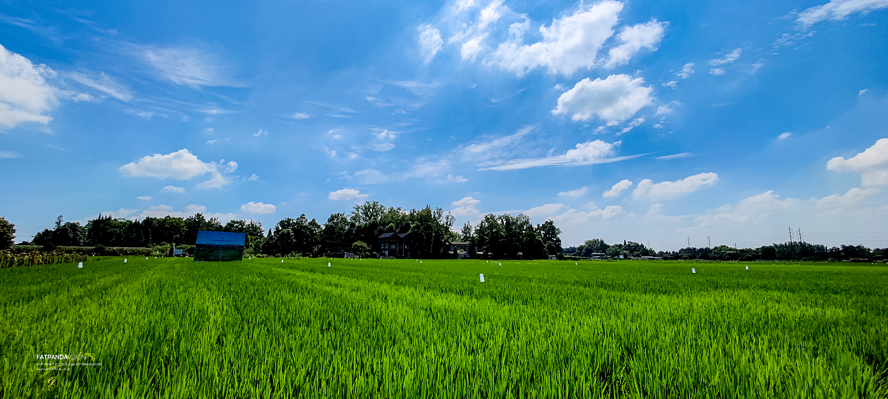 [旅行] 治愈系“稻海”：万春·和林稻海