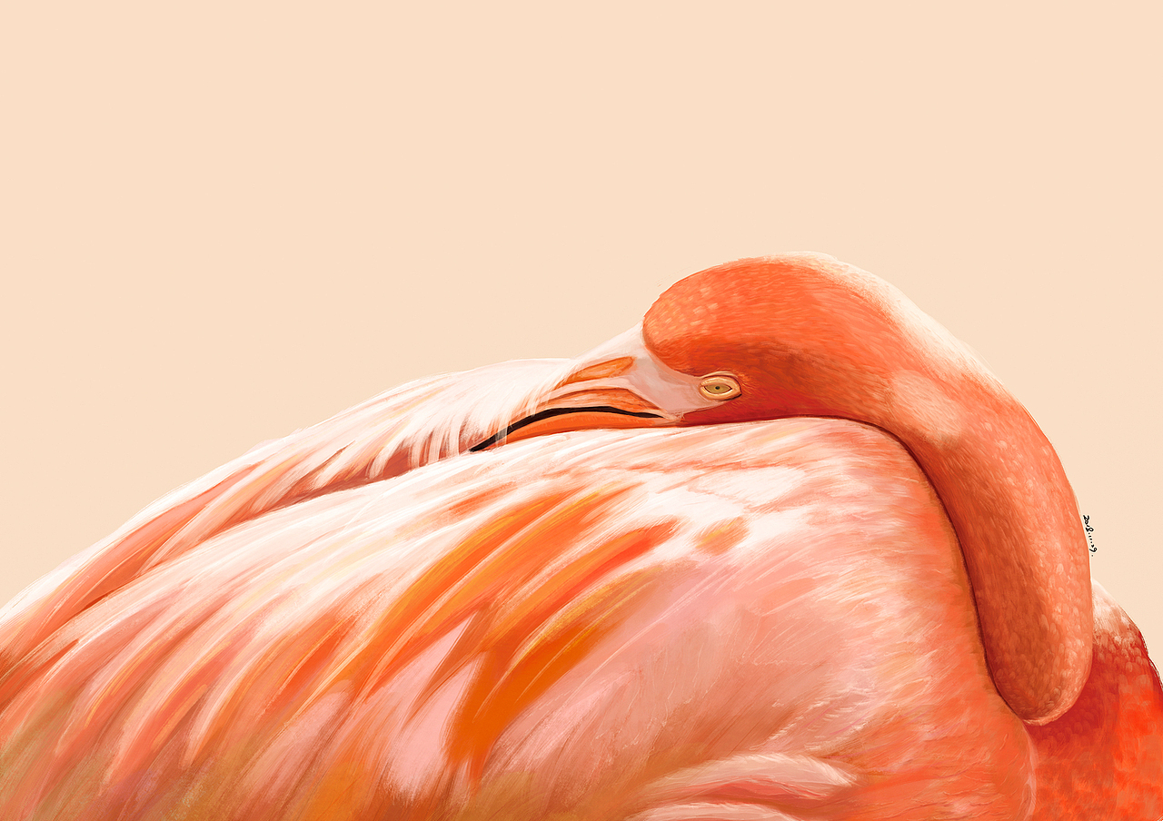 一些練習(xí)（圖ZMTQwNjEyNDQ4） - 創(chuàng)作習(xí)作 - 站酷設(shè)計(jì)師肆靈靈原創(chuàng)素材 - 站酷ZCOOL